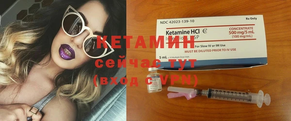 прущие грибы Вязники