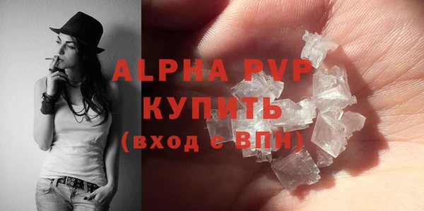 прущие грибы Вязники