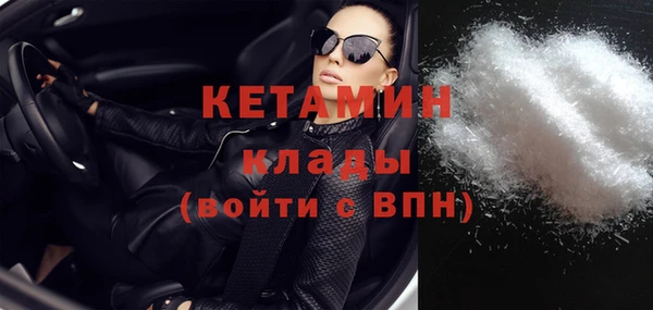 прущие грибы Вязники