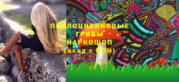 прущие грибы Вязники