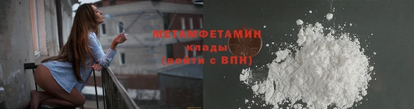прущие грибы Вязники