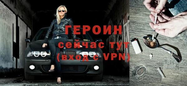 прущие грибы Вязники