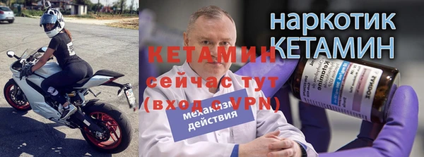 прущие грибы Вязники