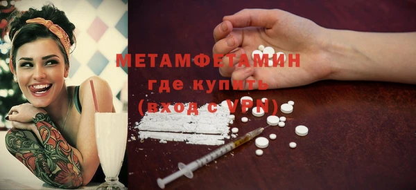 прущие грибы Вязники