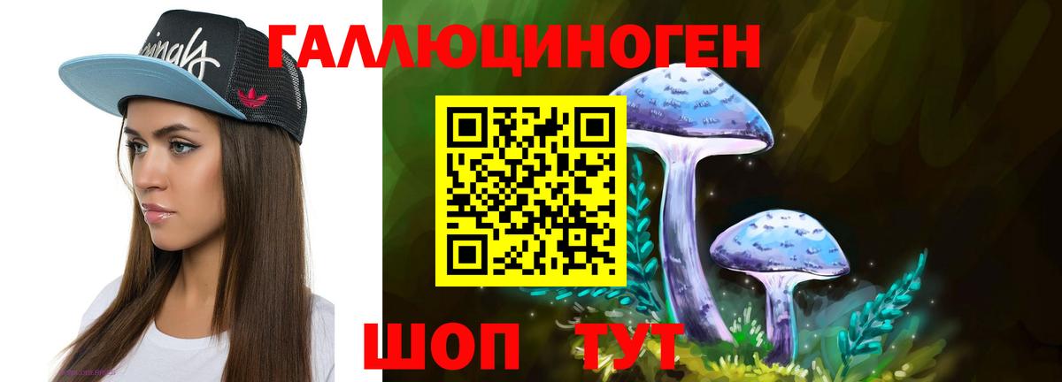 Железногорск  Псилоцибиновые грибы Psilocybine cubensis  Вход с VPN 